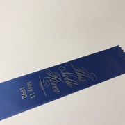 Cover image of  Ribbon